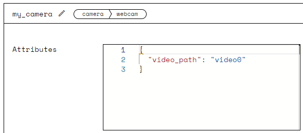 A screenshot of the webcam configuration UI with video_path set to video0.